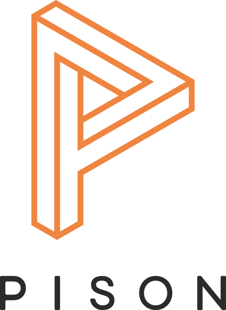 Pison Technology Inc. Logo