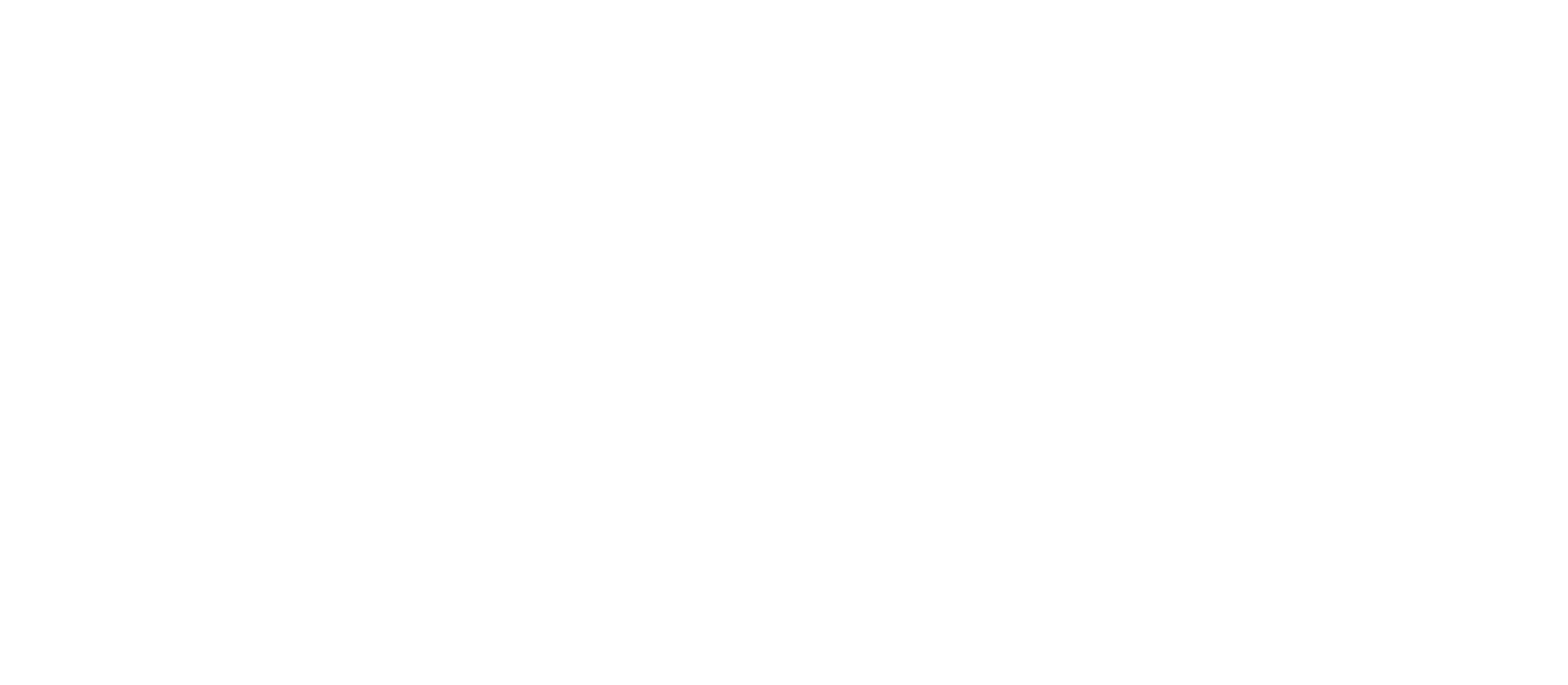 AFFOA Logo R white
